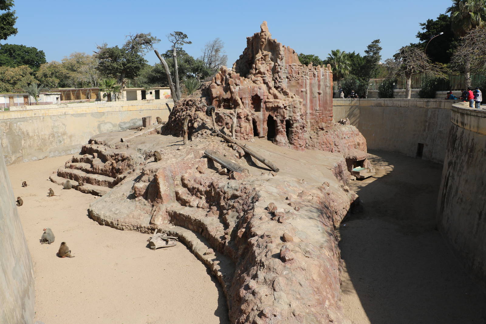 Baboon mountain, February 2016