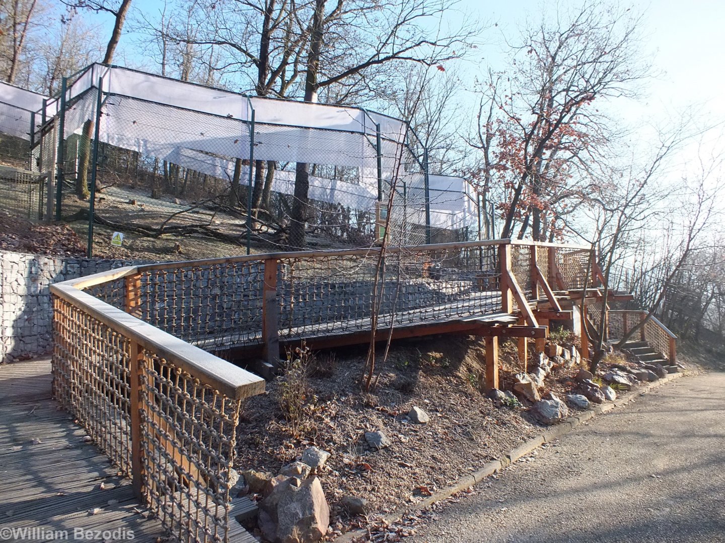 Baboon Outdoor Enclosure