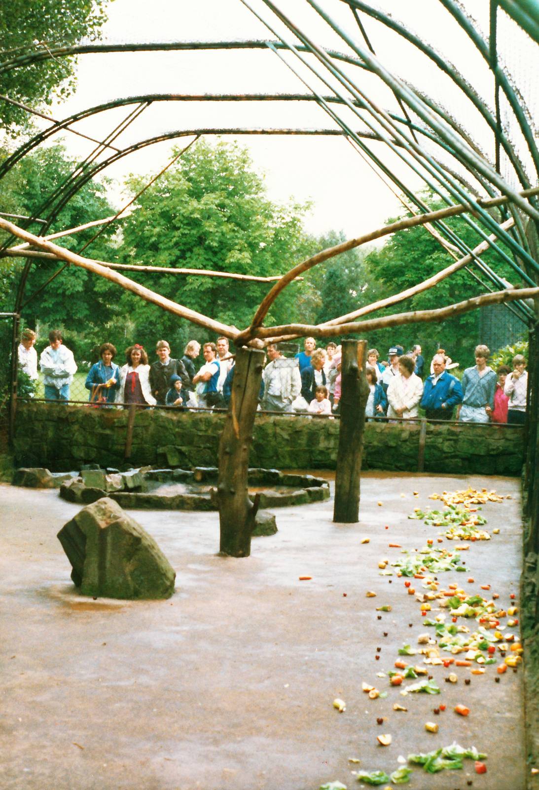Baboon Pen Chester Zoo July 1987