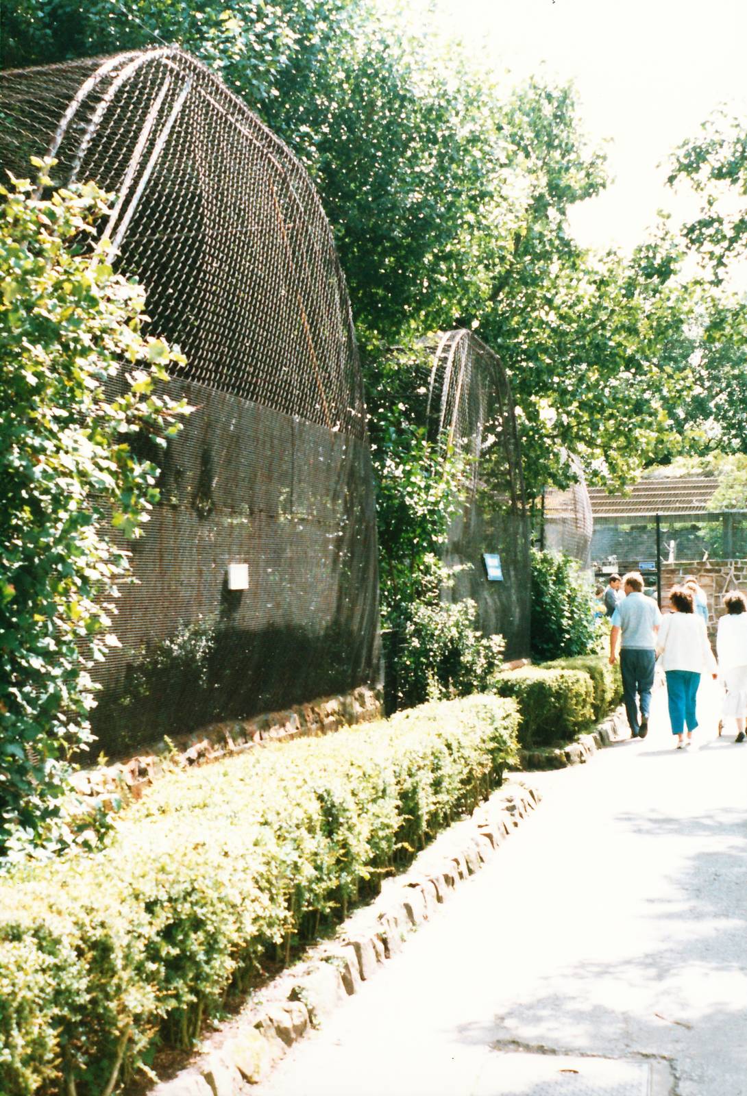 Baboon Pens Chester Zoo July 1987