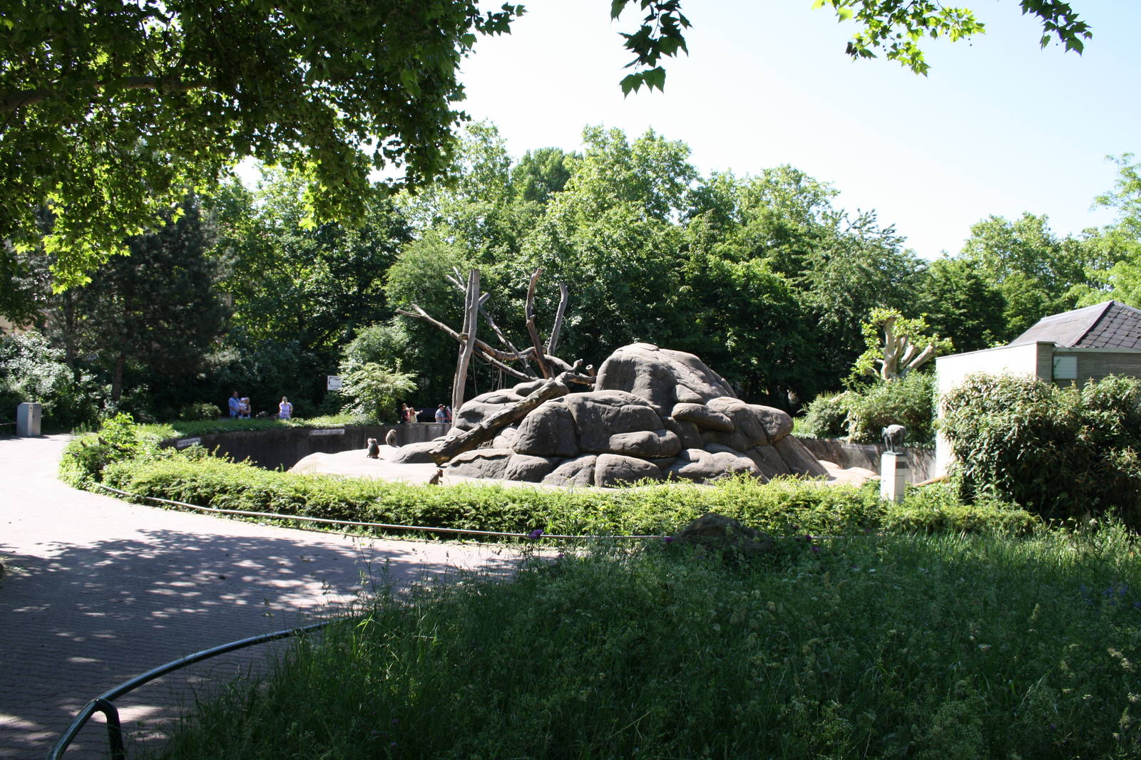 Baboon pit - 4 June 2010