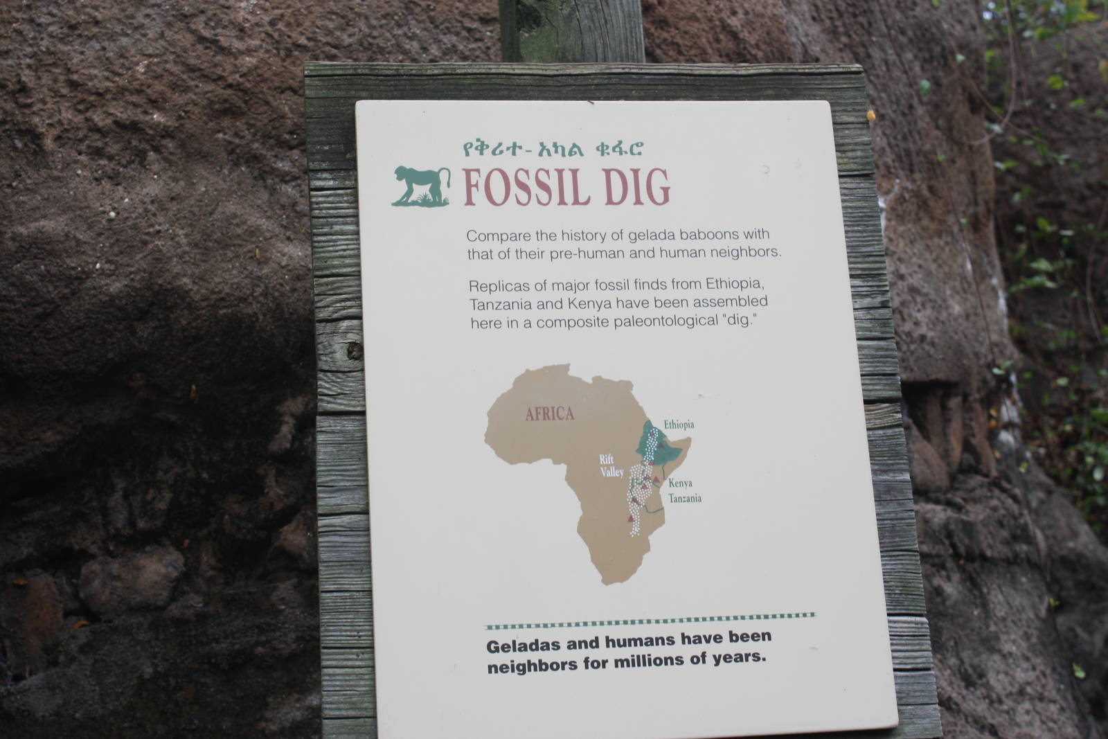 Baboon Reserve- Fossil Dig
