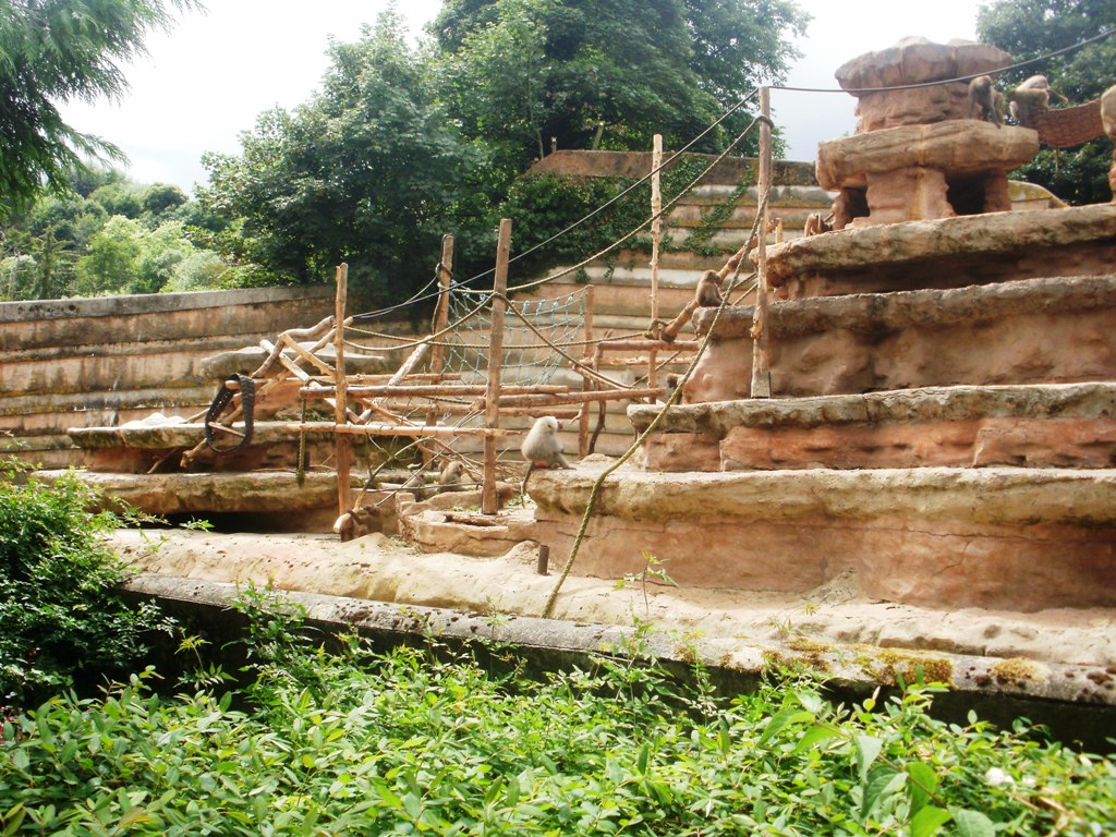 Baboon Rock - 27.07.2010