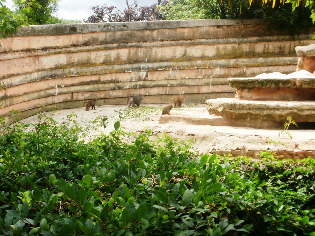 Baboon Rock - 27.07.2010