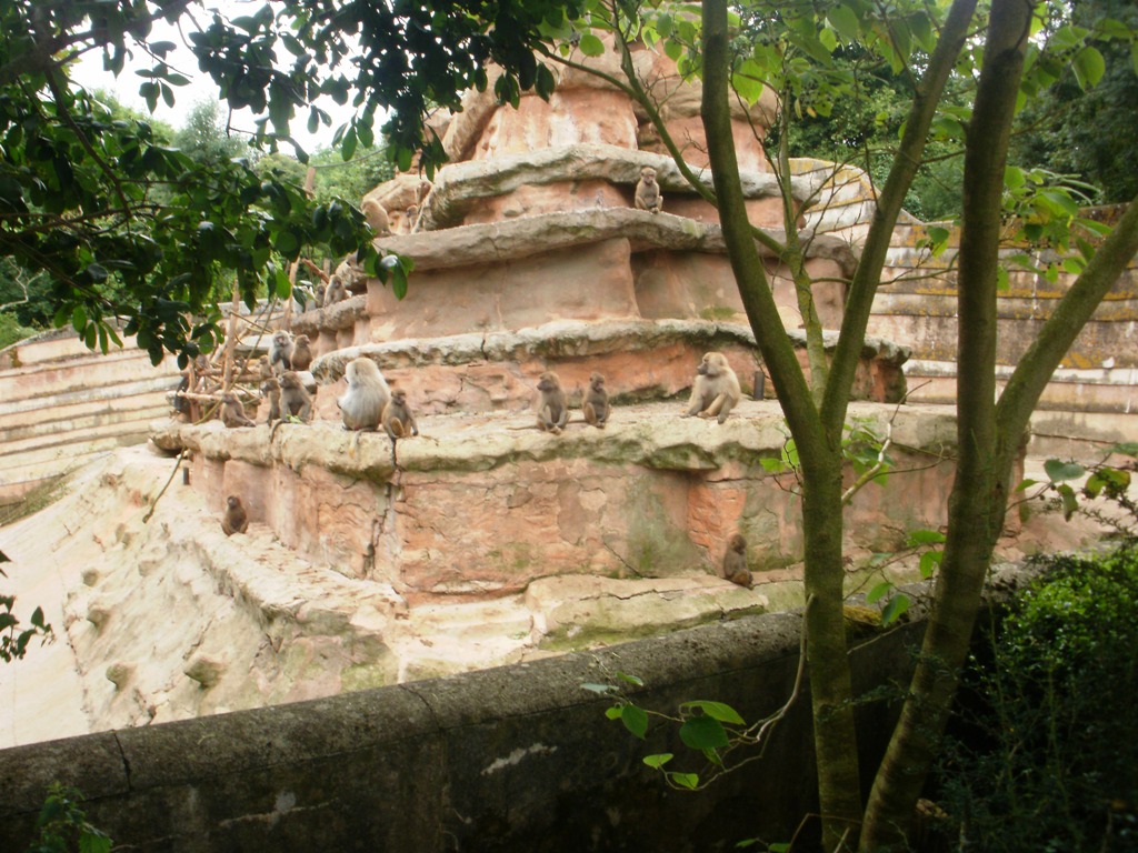 Baboon Rock - 27.07.2010