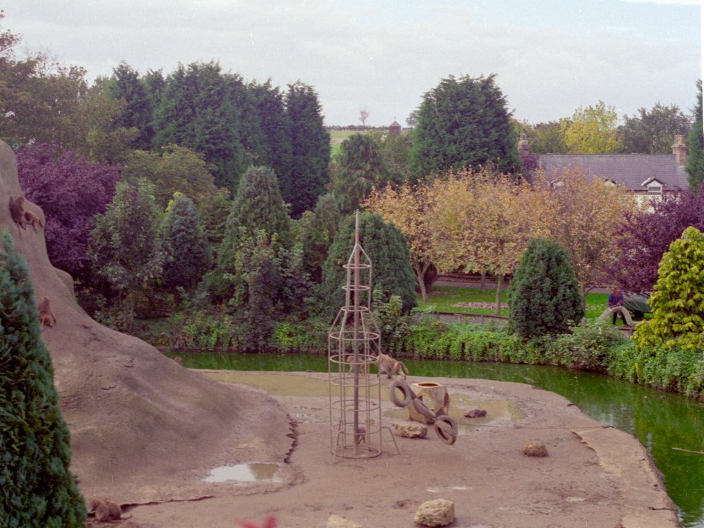 Baboon Rock at Flamingo Land, mid-1990s