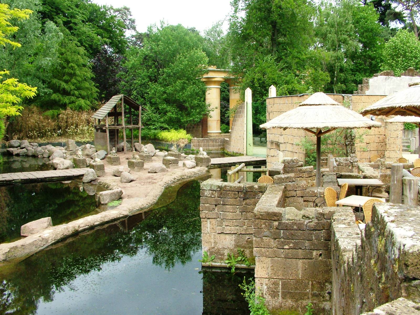 Baboon/Sheep Exhibit at Amersfoort, 01/06/12