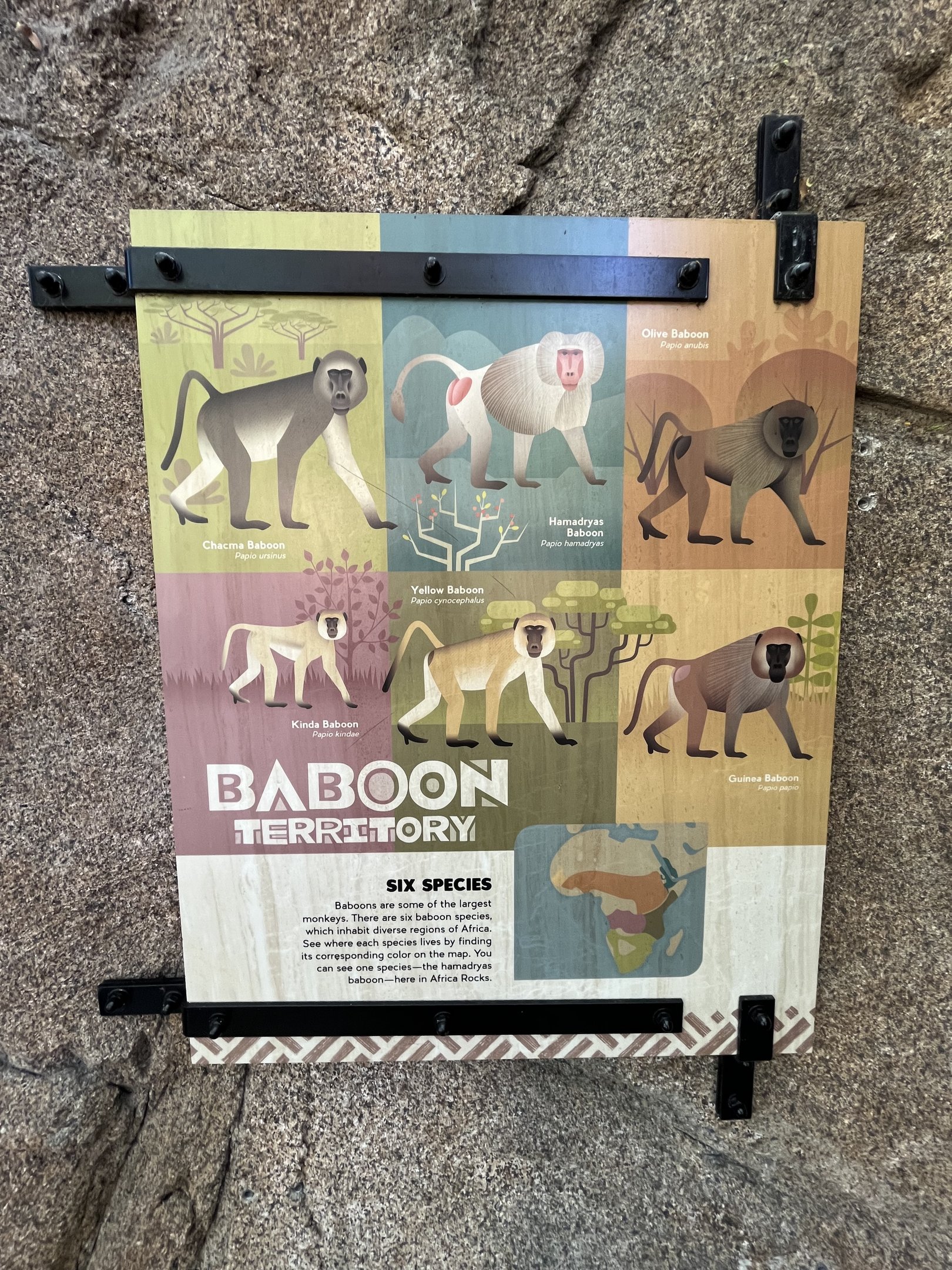 Baboon Sign