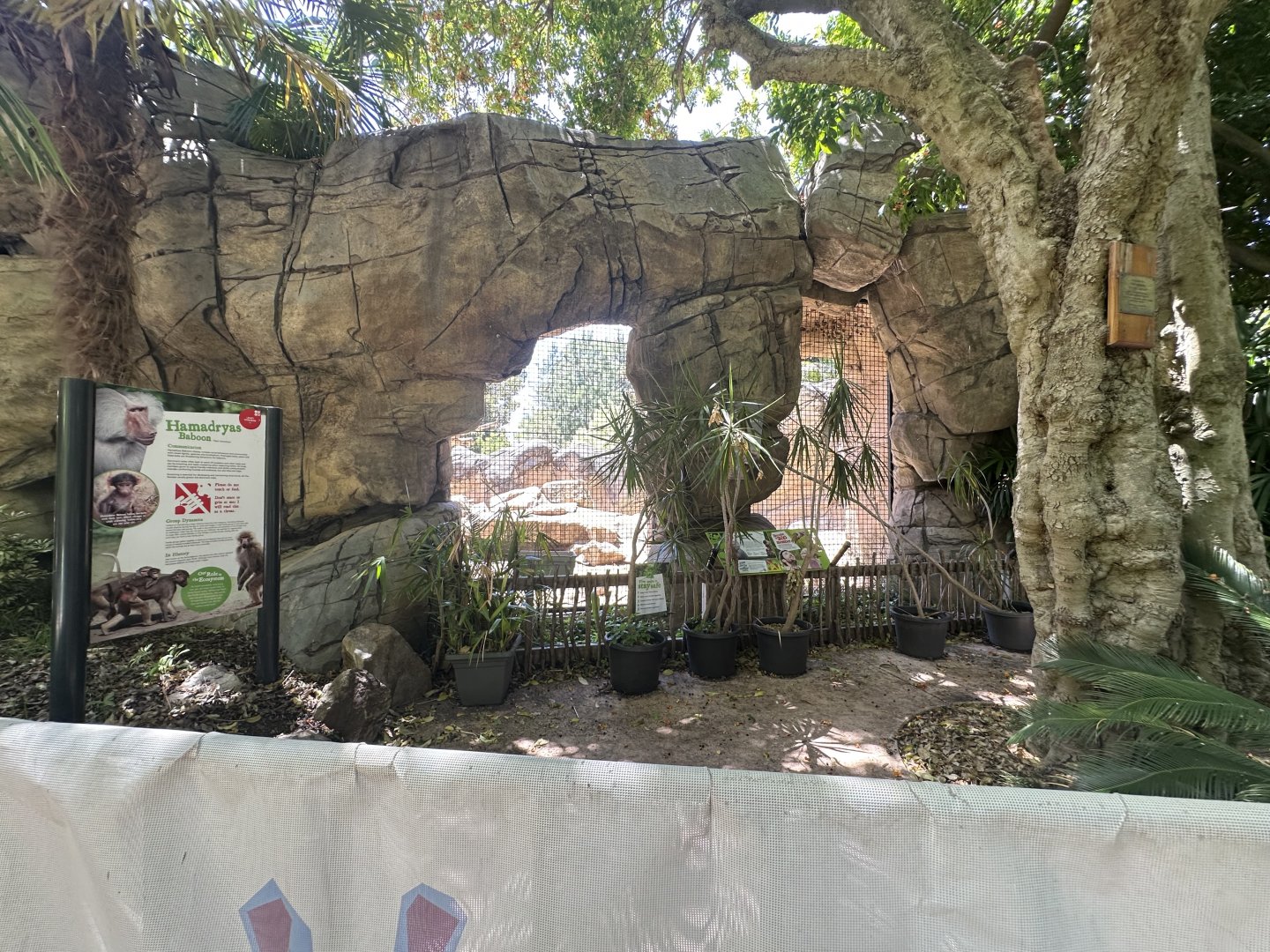 Baboon signage and exhibit