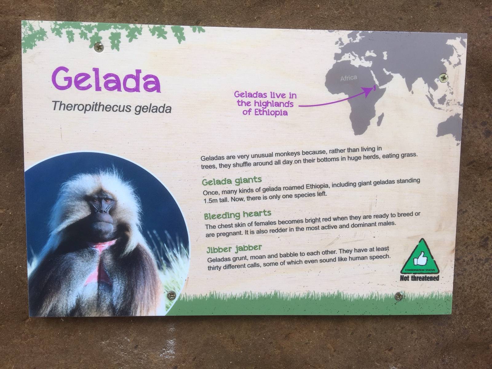 Baboon Signage