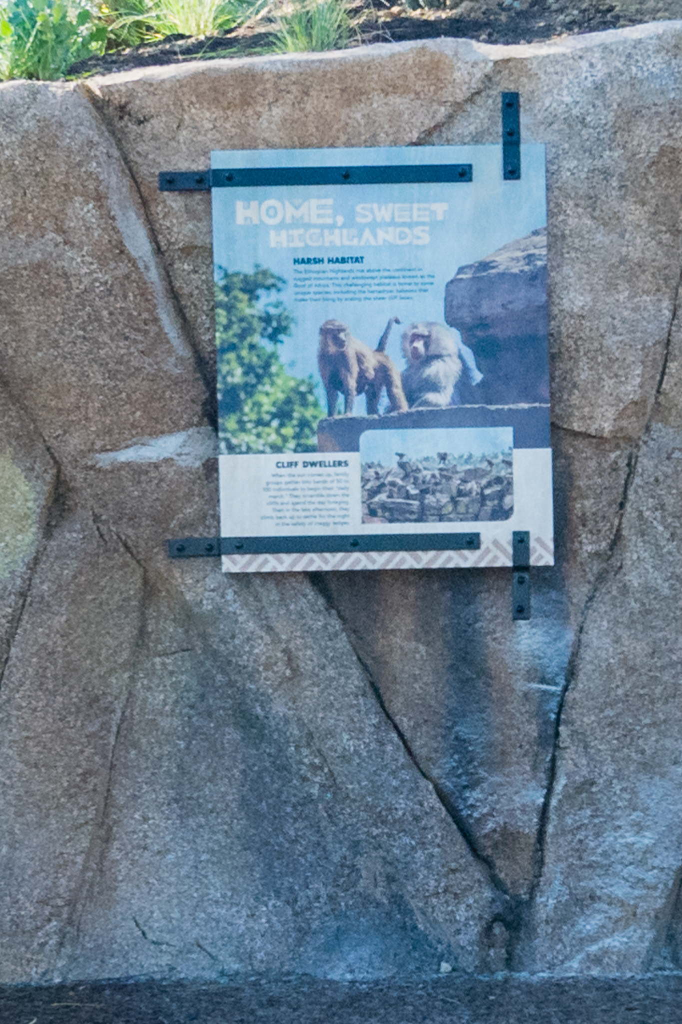 Baboon signage