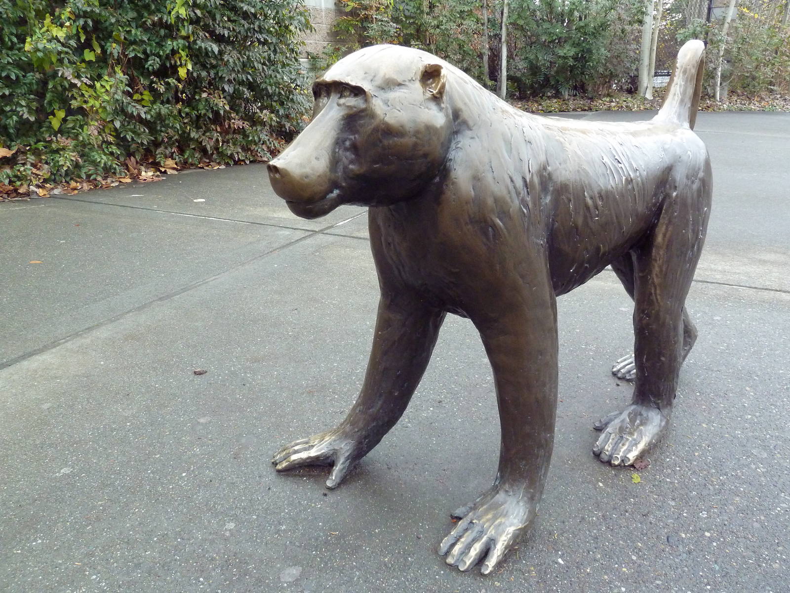 Baboon Statue
