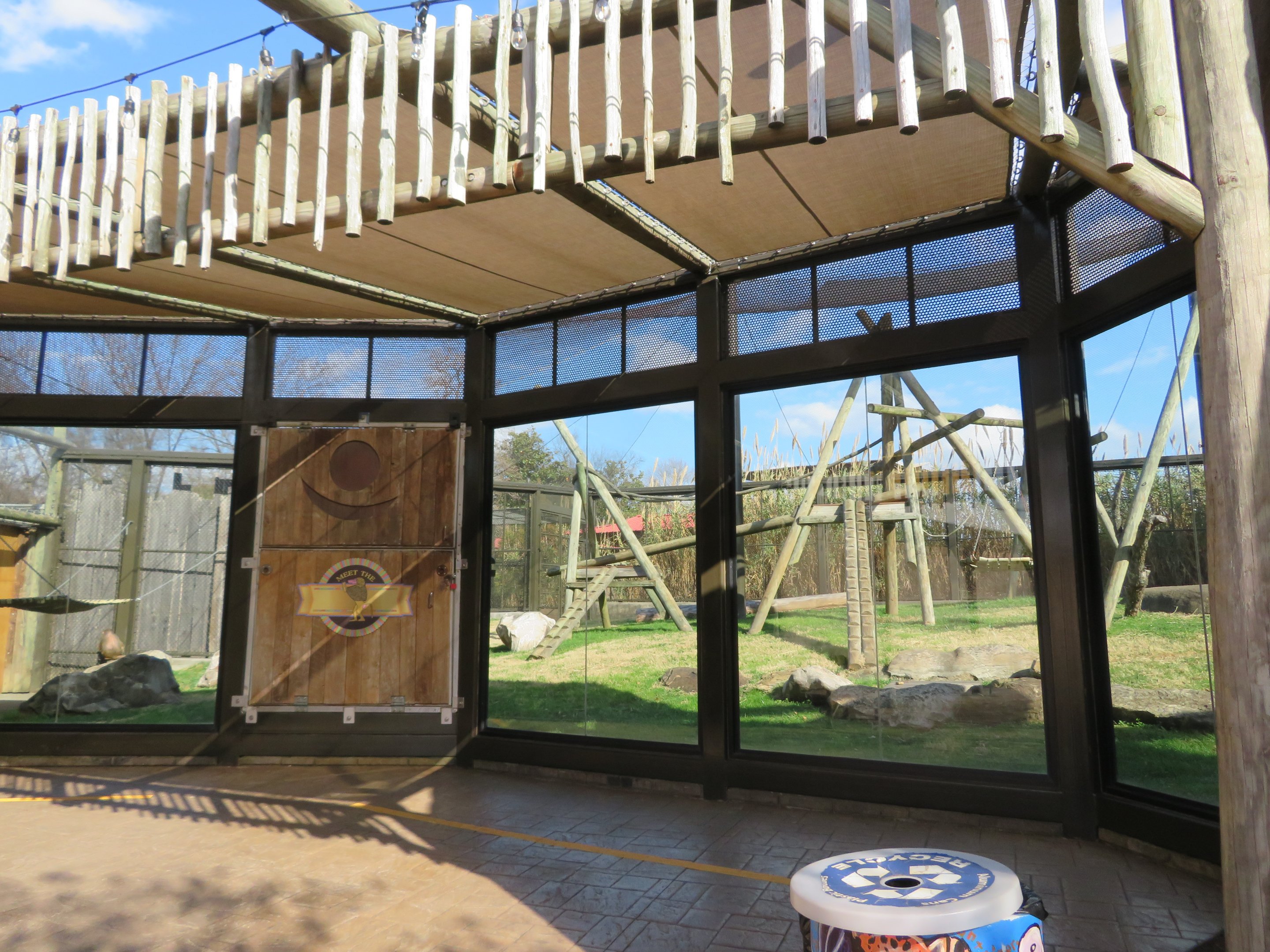 Baboon Viewing Window