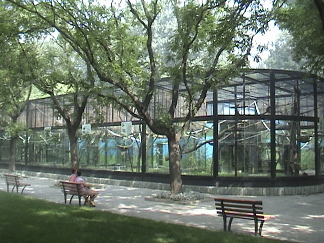 Baboons, Gibbons and Langurs exhibits