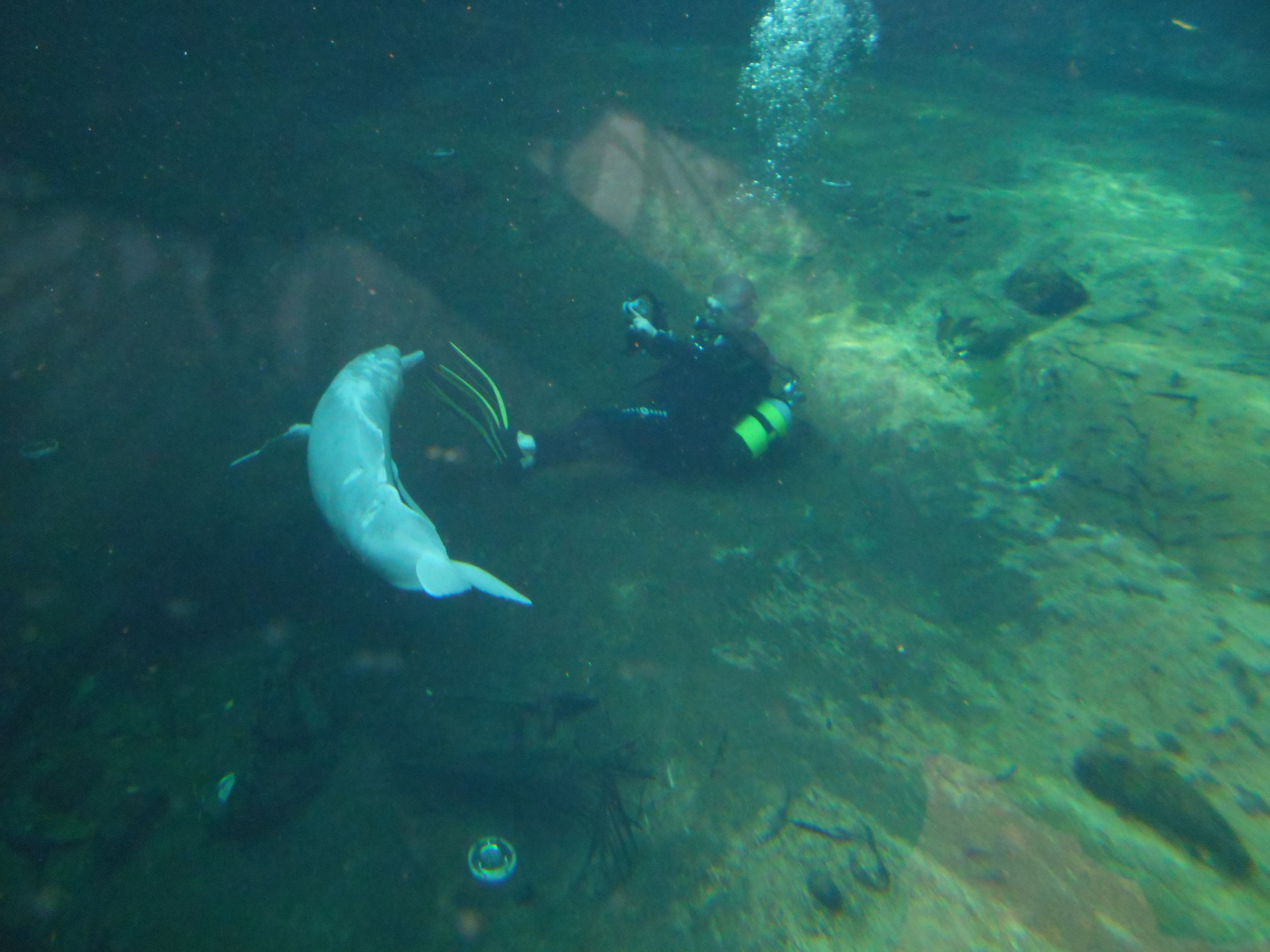 Baby and a photographer