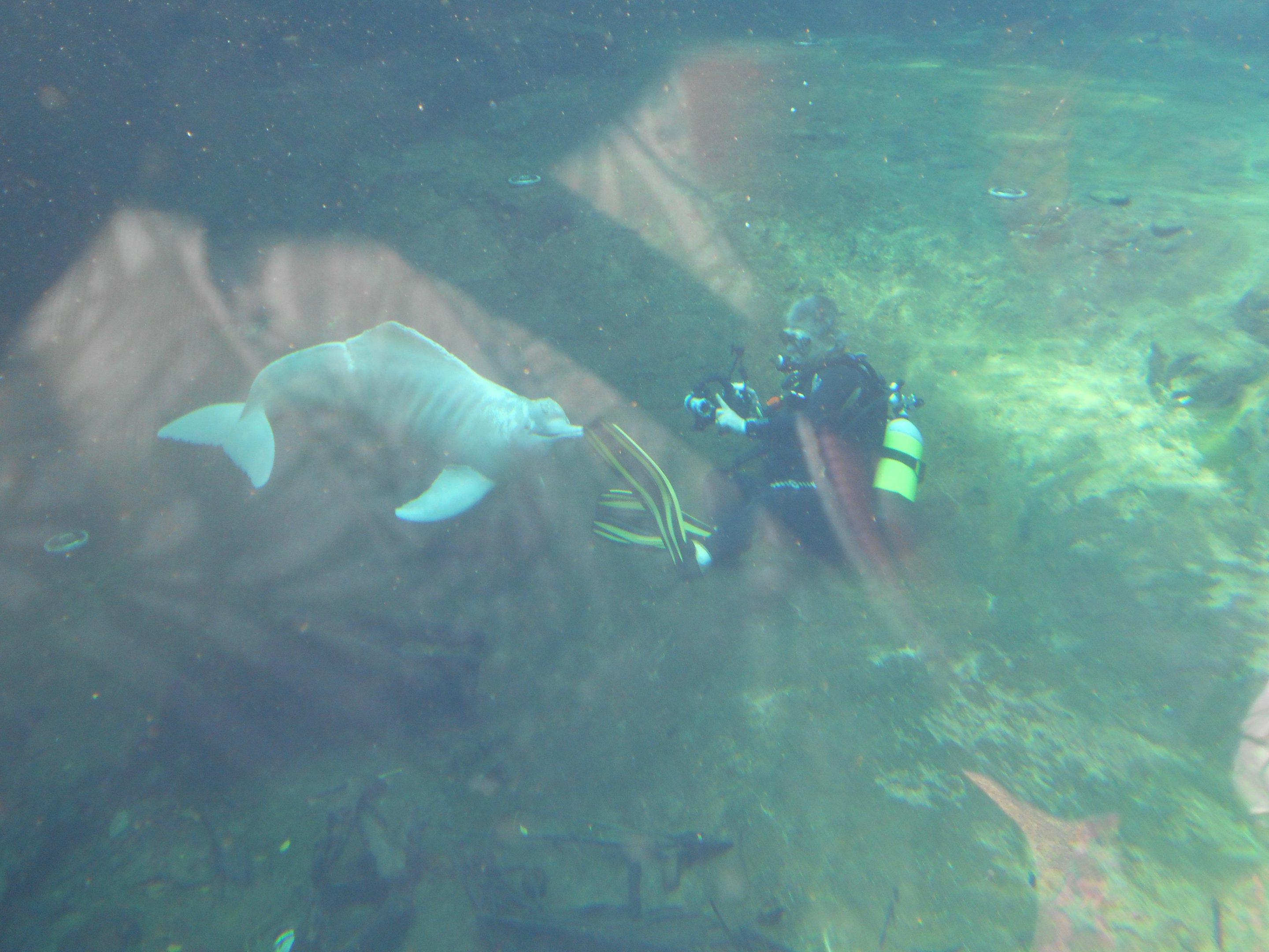 Baby and a photographer