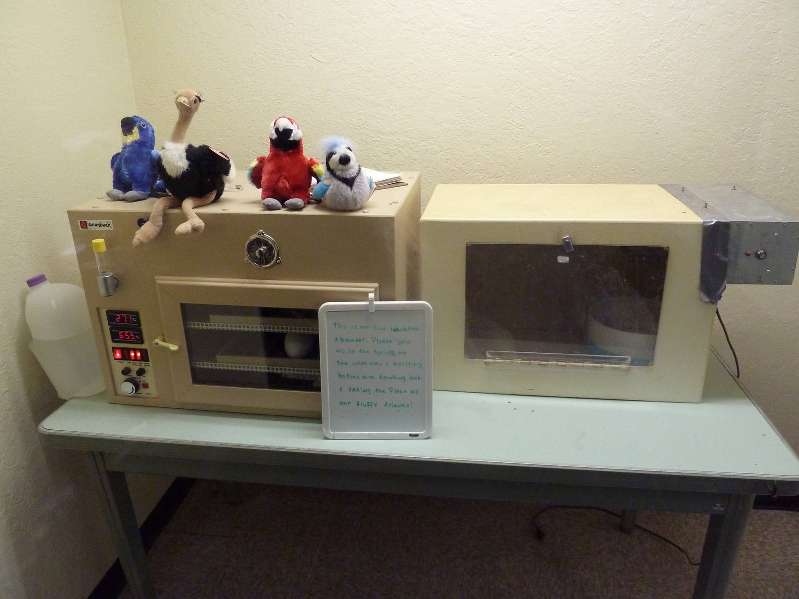 Baby Animal Nursery - Incubator