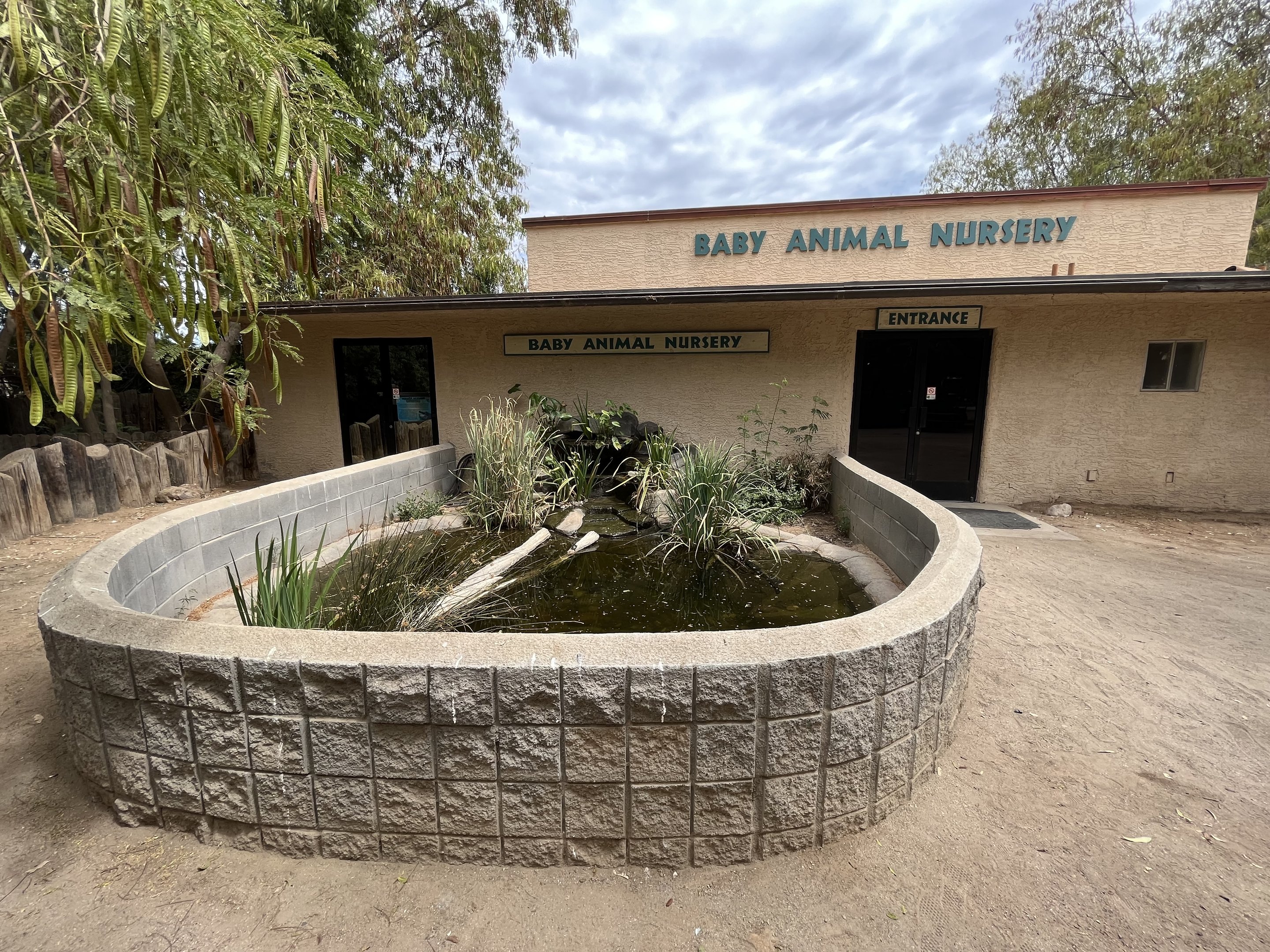 Baby Animal Nursery + Turtle Pool