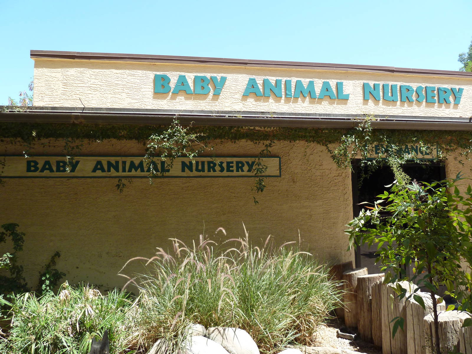 Baby Animal Nursery