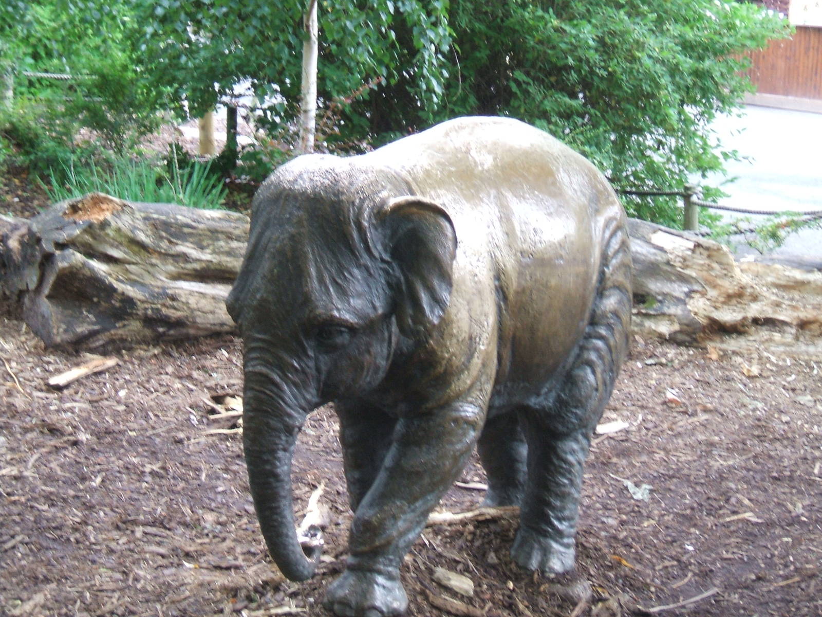 Baby elephant statue