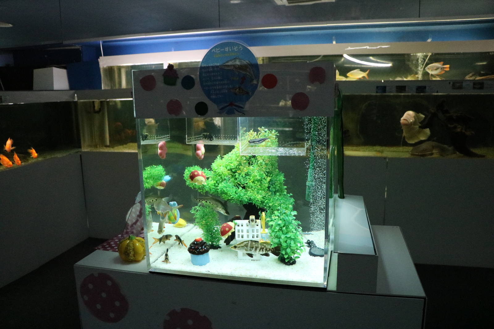 Baby fish display - Tokyo Tower Aquarium, February 2016