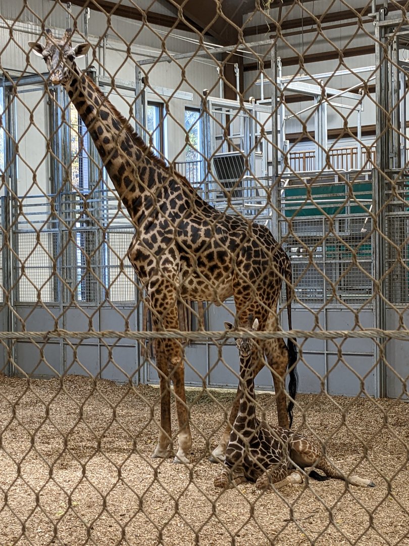 Baby Olmy, about 5 months old