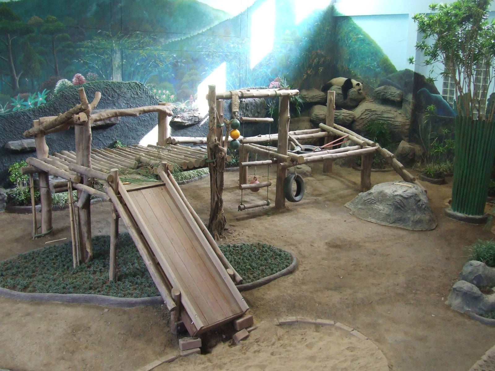 Baby Panda (Lin-Ping) Indoor Exhibit Area
