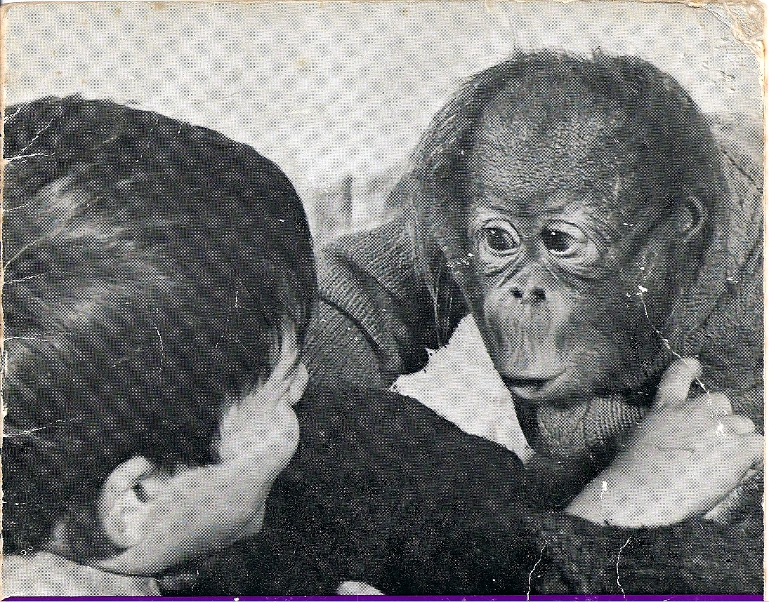 Baby Rajang - Jan 1969