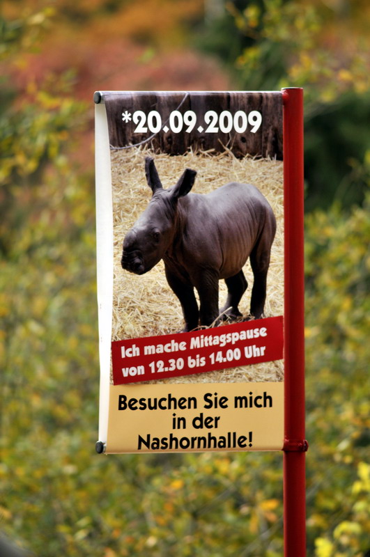 Baby-Rhino-Sign