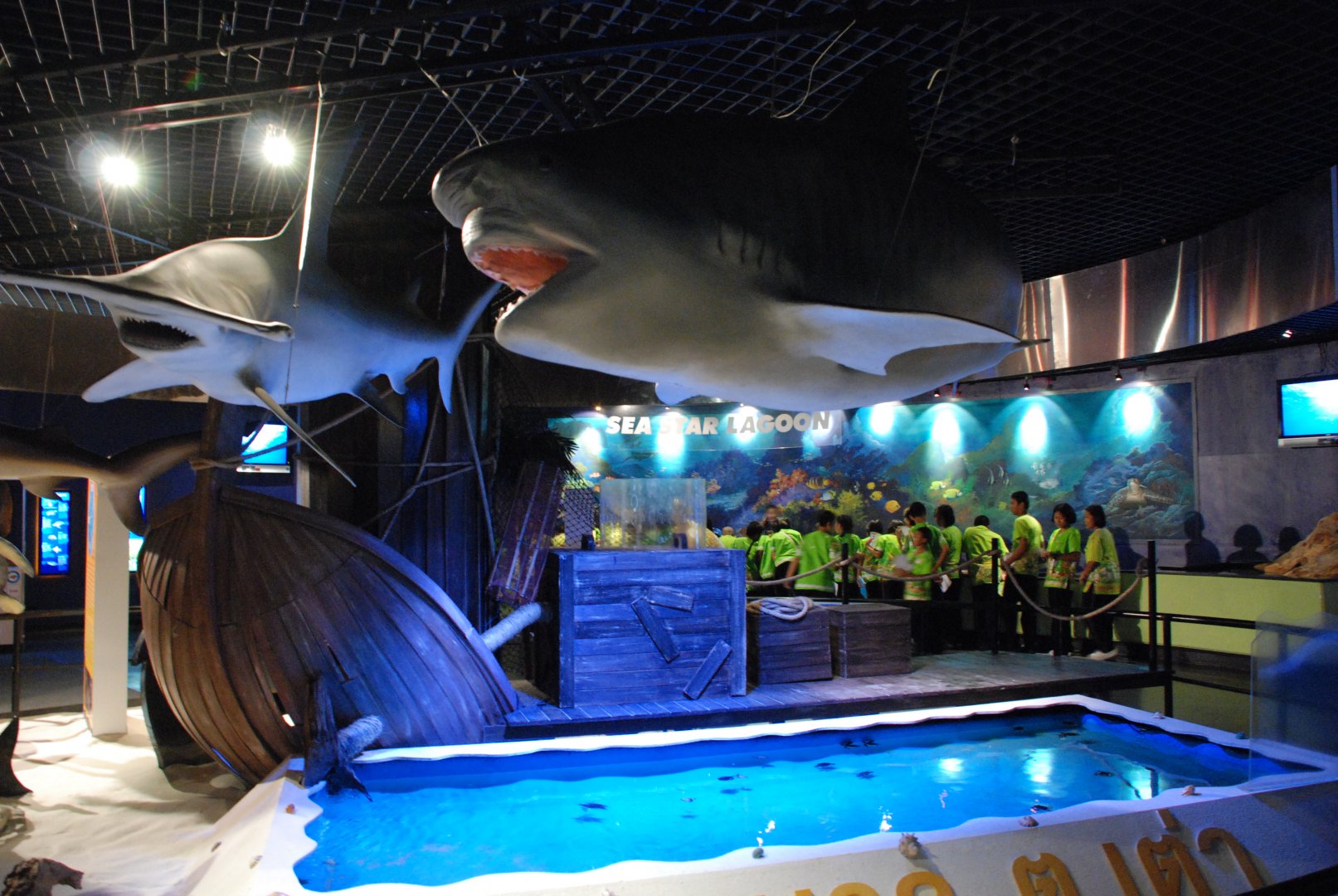Baby Sea Turtle Pool