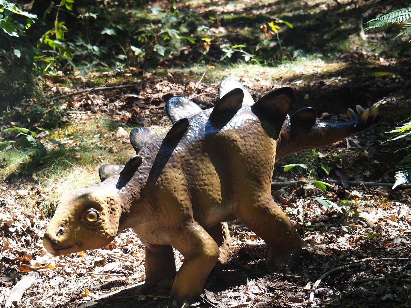 Baby Stegosaurus model
