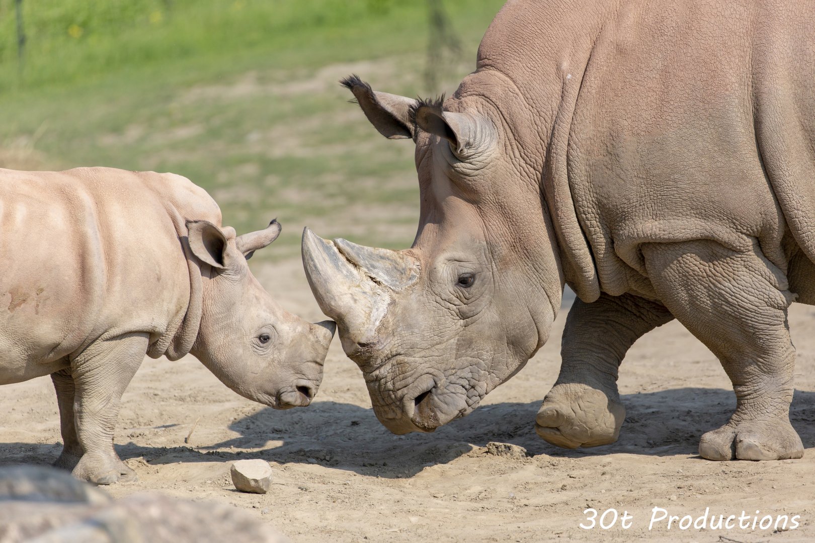 Baby Theodore meets Aunt Sabi