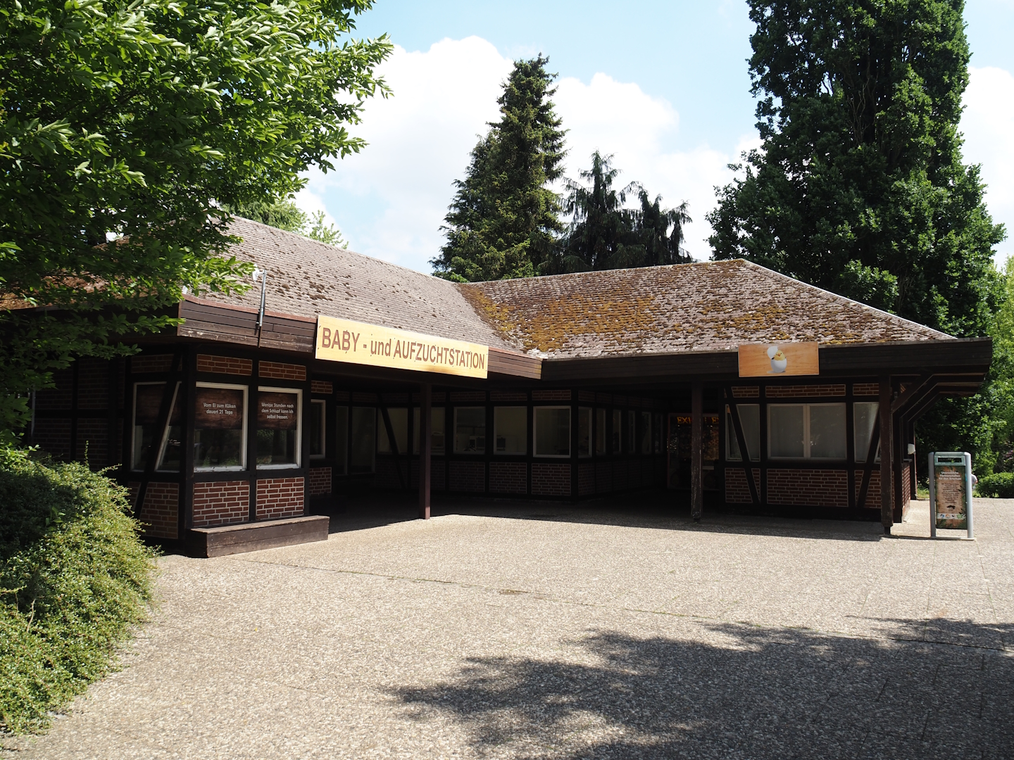 Baby -und Aufzuchtstation (Main nursery), 2024-05-23