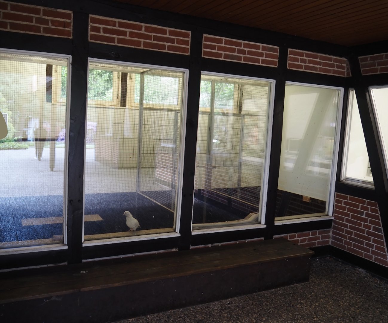 Baby -und Aufzuchtstation (Main nursery) - Aviaries for young birds, 2024-05-21