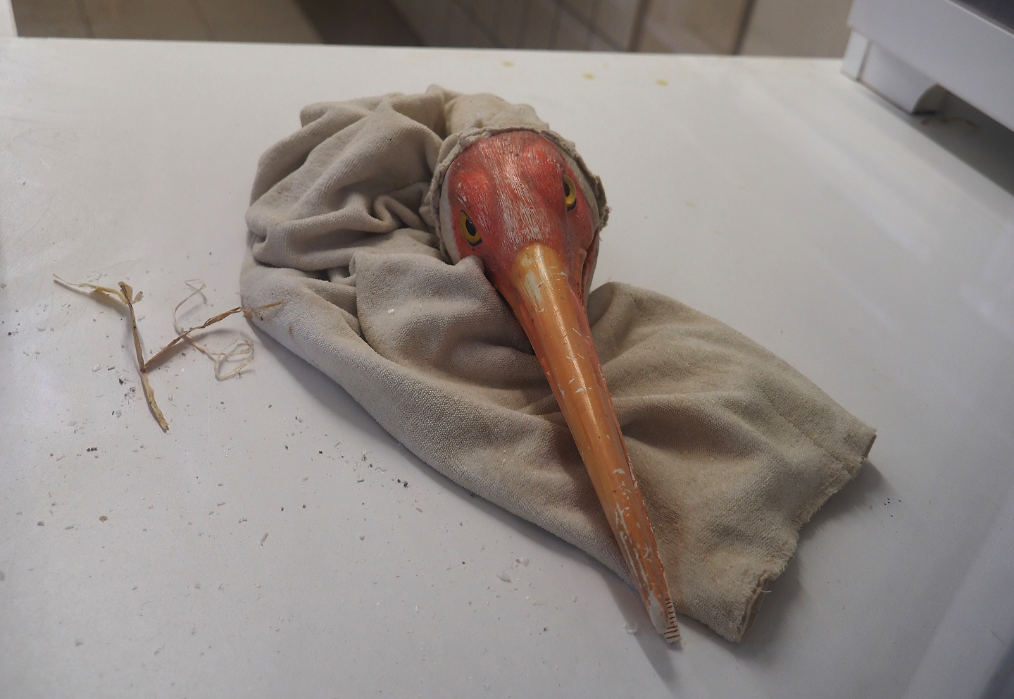 Baby - und Aufzuchtstation (Main nursery) - Siberian crane hand feeding puppet, 2024-05-21