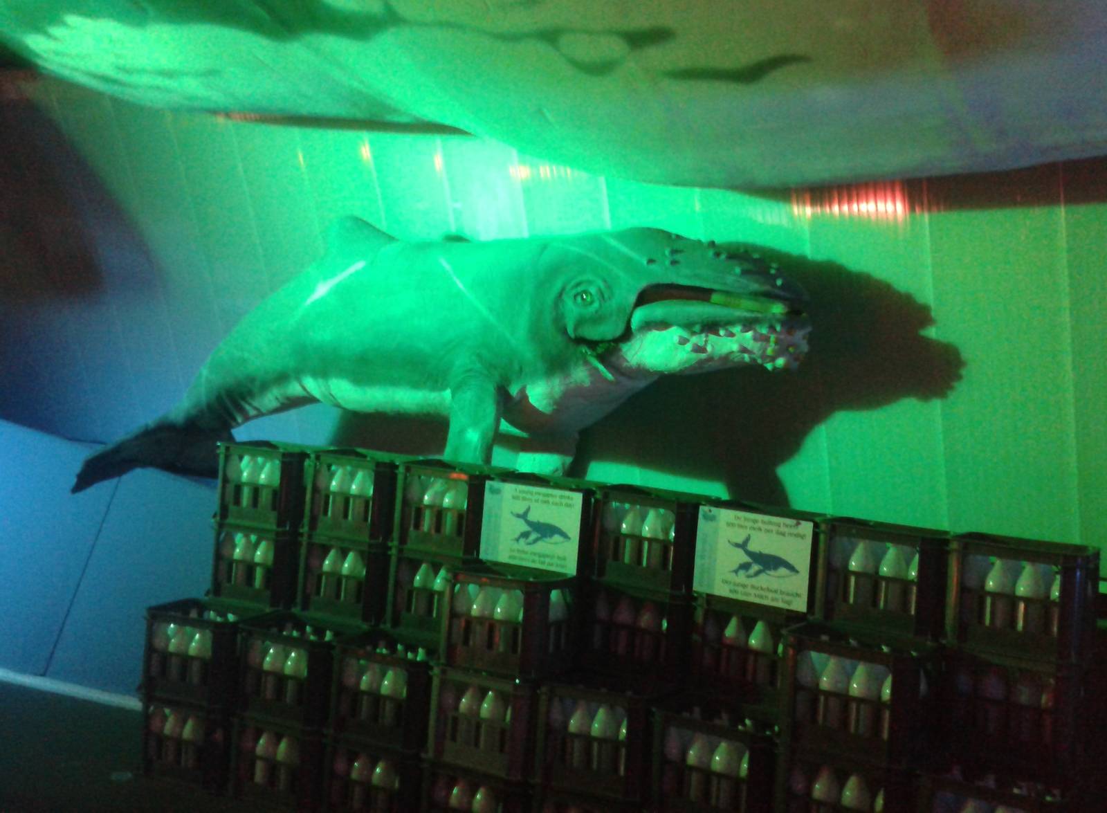 Baby whale model and milk