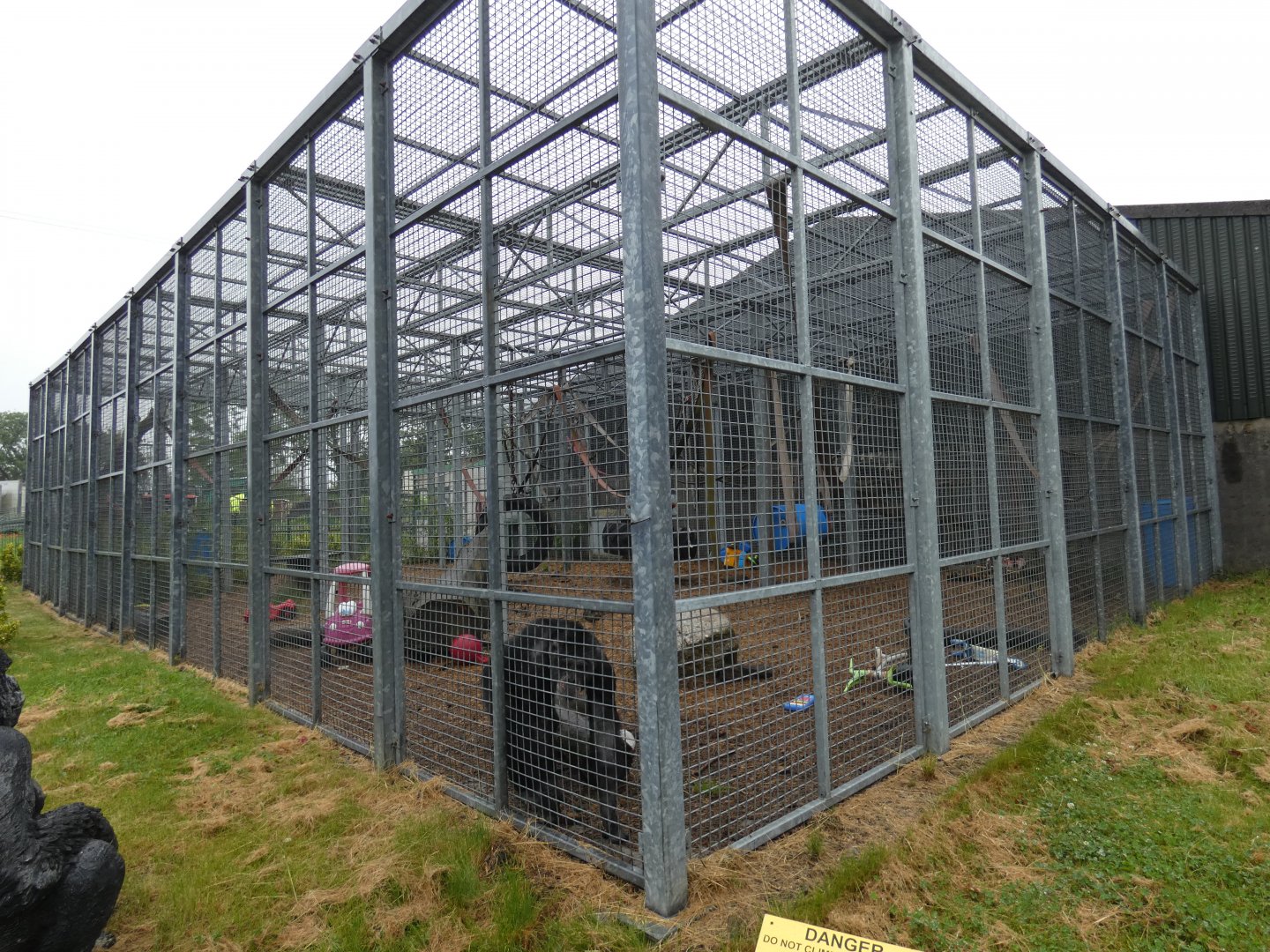Bachelor chimpanzee enclosure