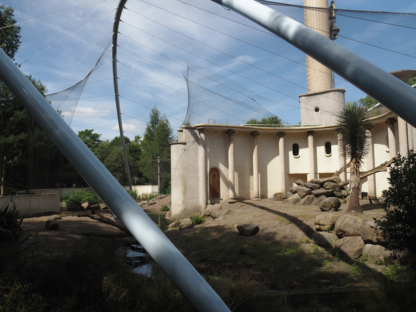 Bachelor gelada group exhibit, 2024-06-30