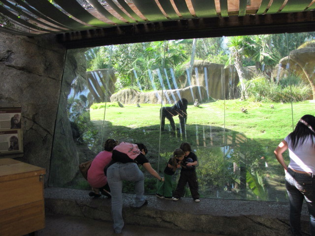 Bachelor Group Glass Viewing Area