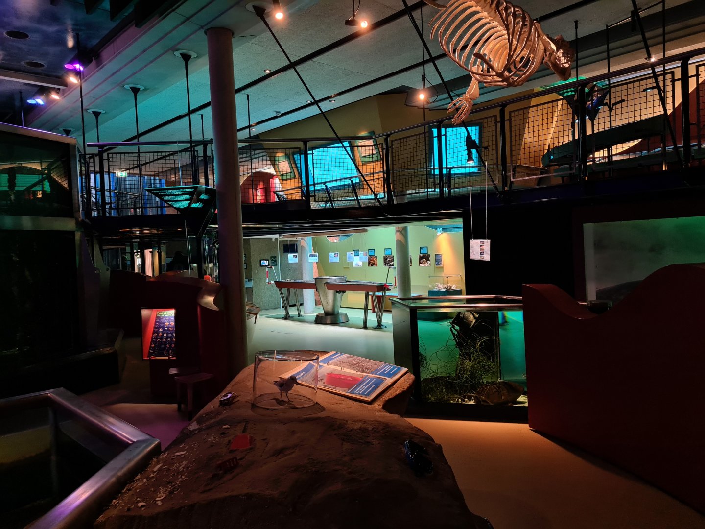 Back area of Aquarium room