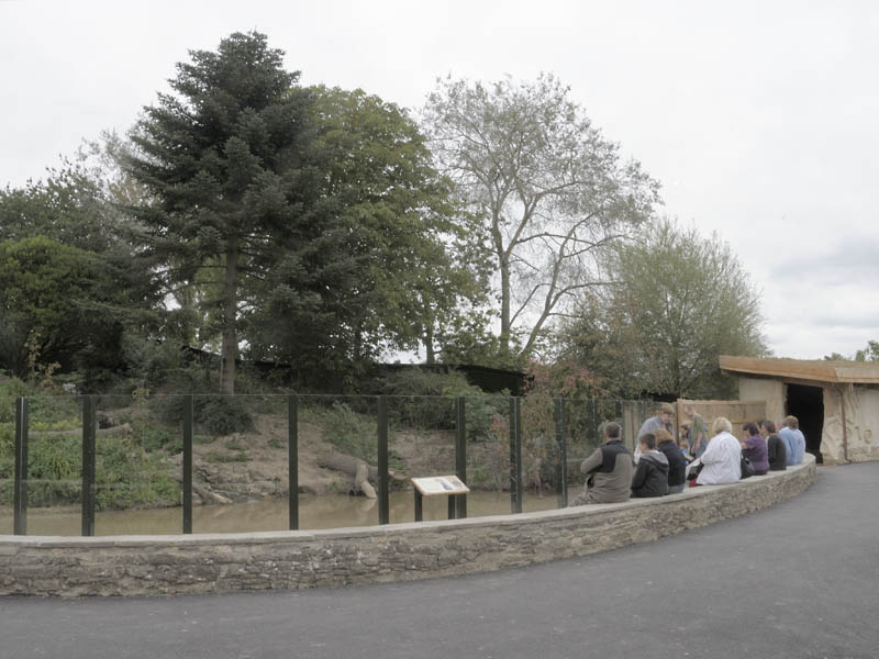 Back from the Brink 4 Otter exhibit