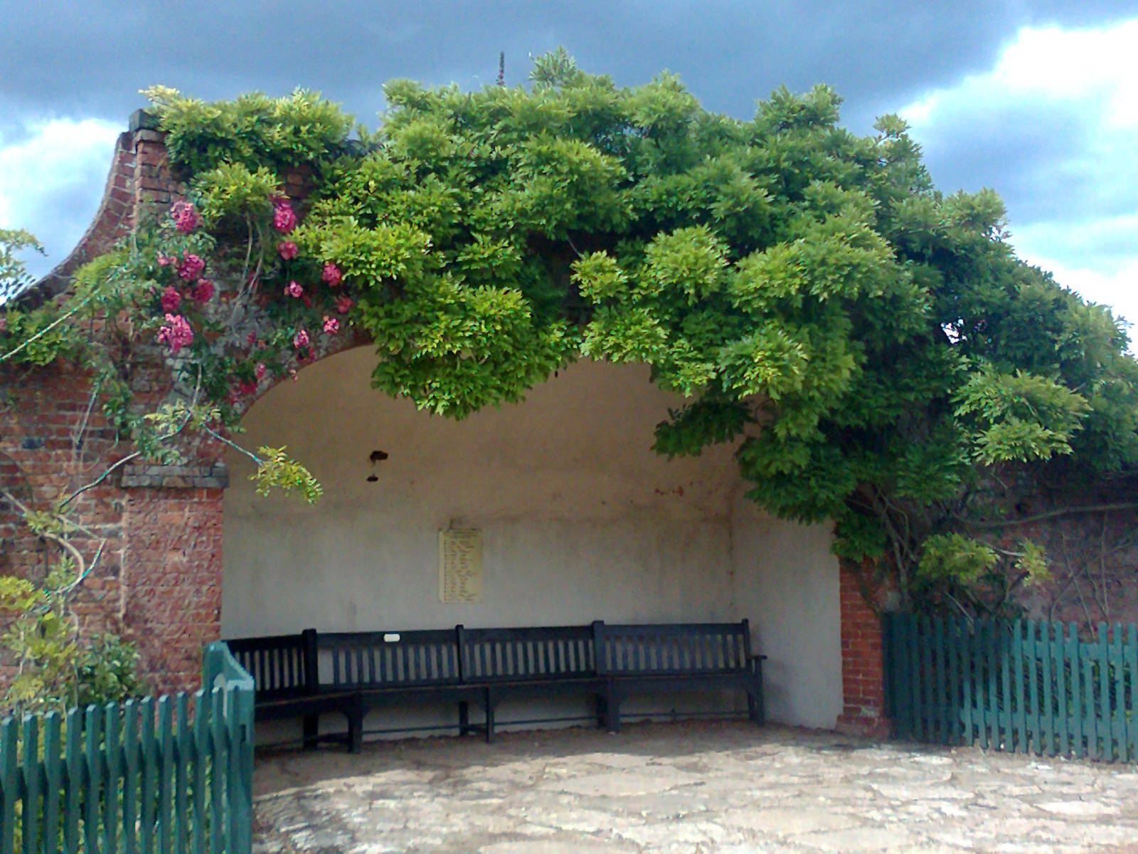 Back Garden alcove 2011