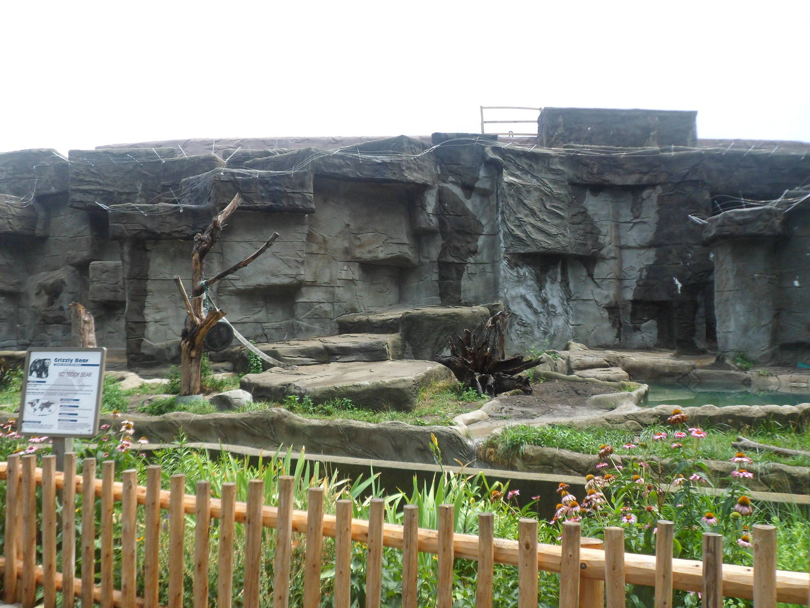 Back Grizzly Bear Exhibit