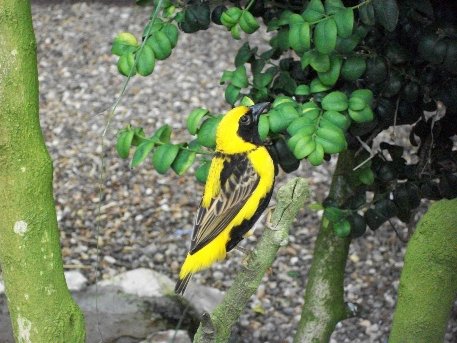 Back in colour, 27th June 2014