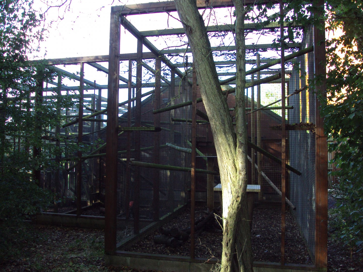 Back of Fossa house 27/10/2019