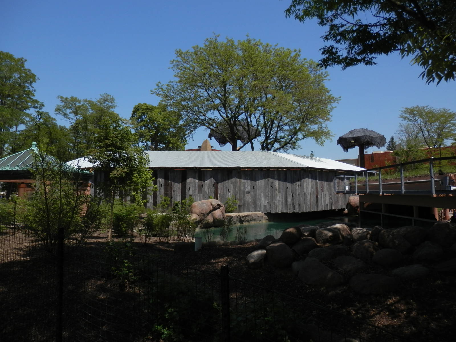 back of hippo, looking at deck, old giraffe roof to left