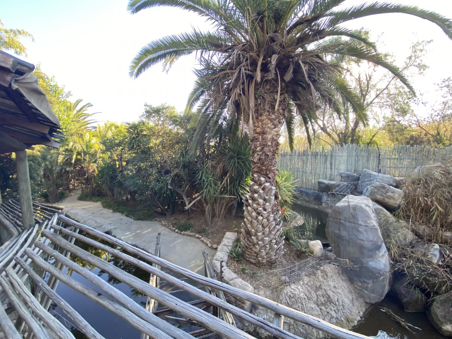 Back of lemur falls enclosure