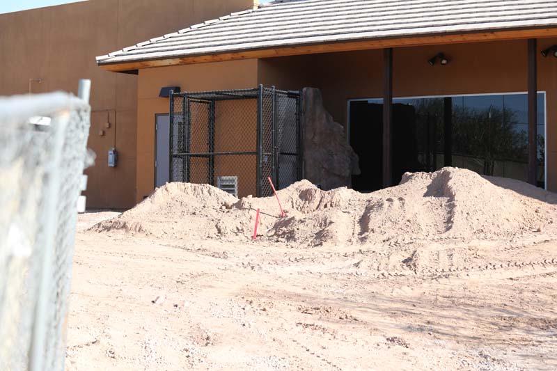 back of new sand cat exhibit
