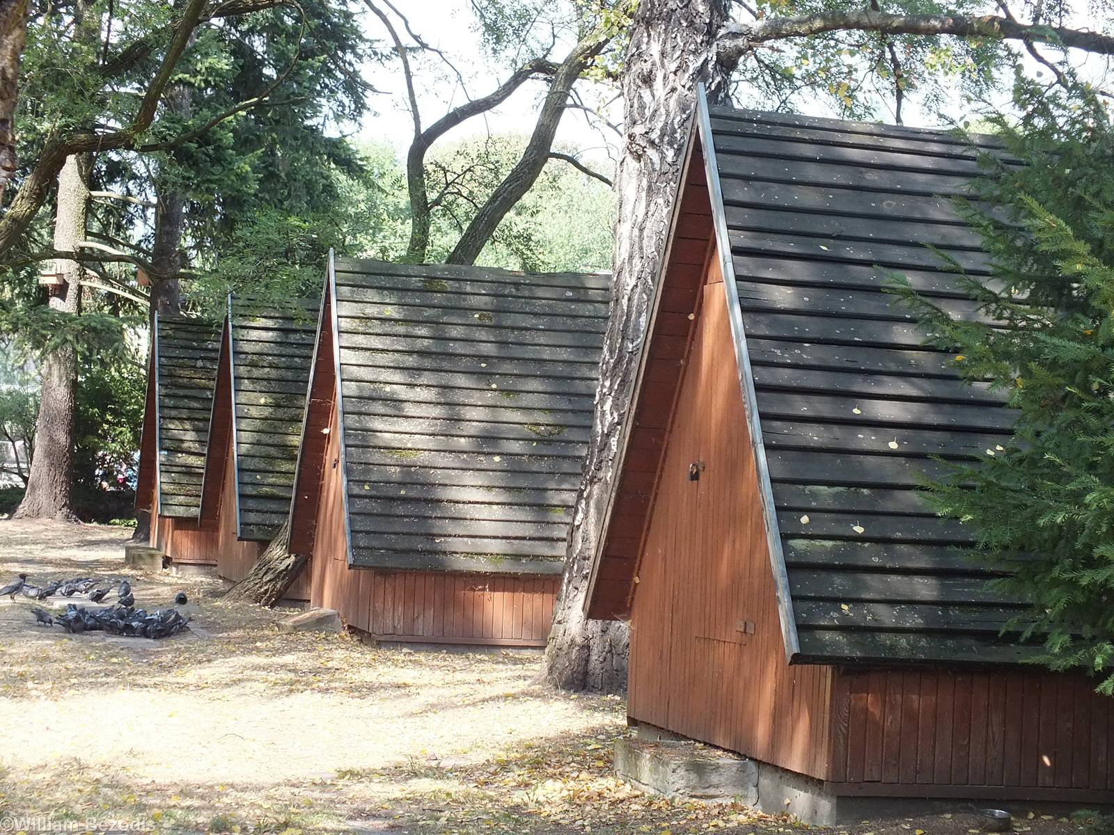 Back of Part of the Pheasantry