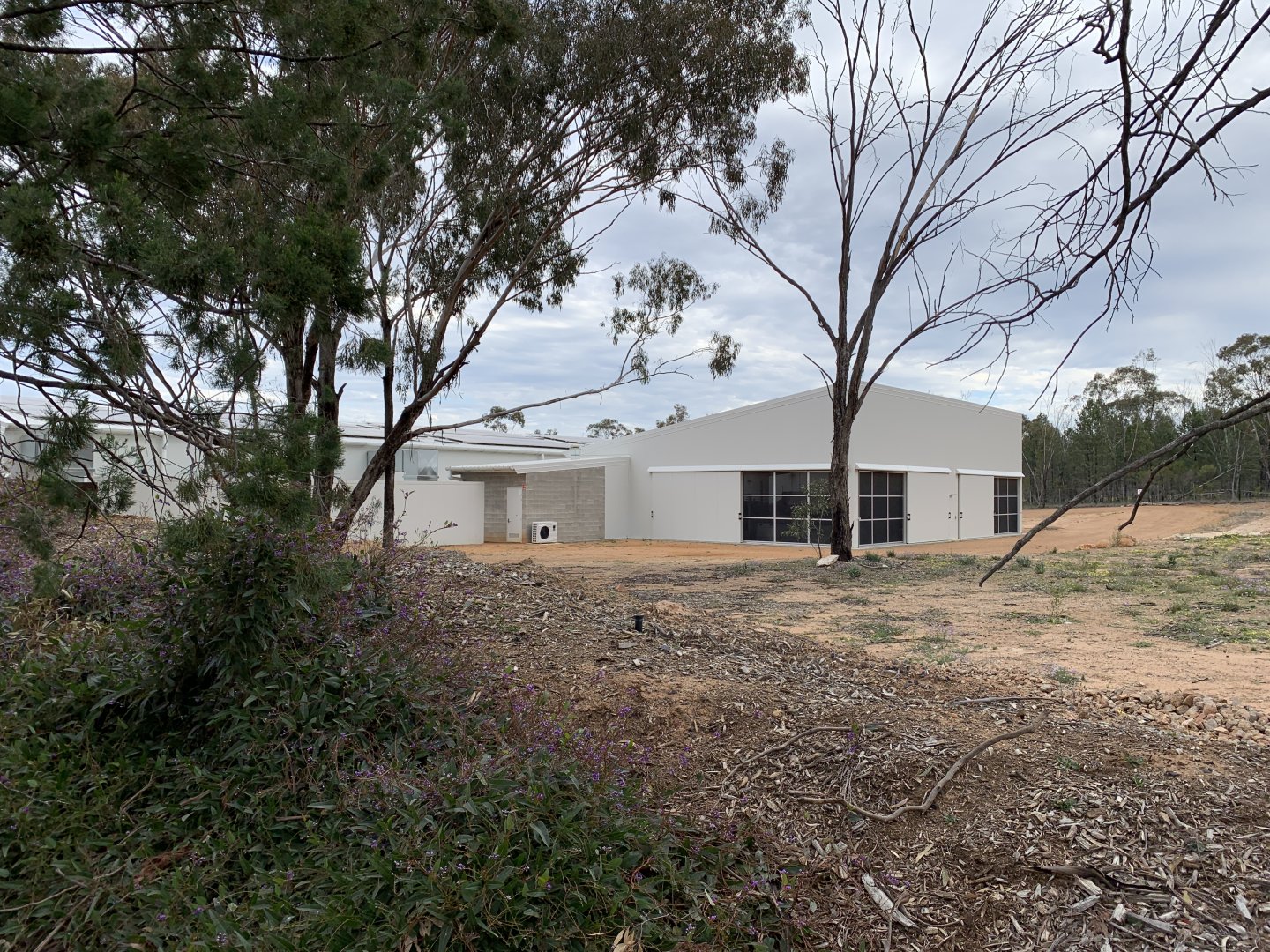 Back of Platypus House